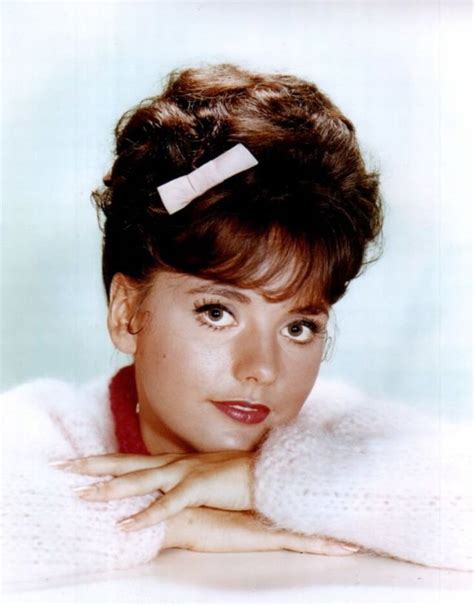 30 Portrait Photos of Dawn Wells in the 1960s